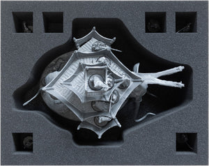 Feldherr foam set for Middle-earth Strategy Battle Game: War Mûmak of Harad