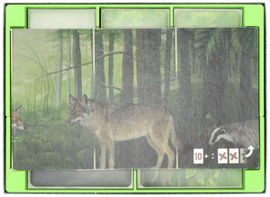 Feldherr Organizer Insert for Forest Shuffle + Expansions - core game box